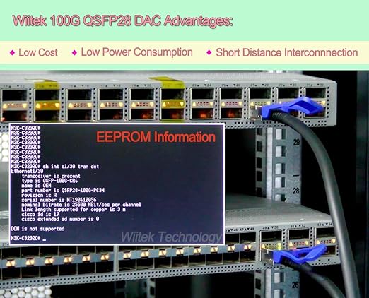 100GbE QSFP28 DAC Twinax Cable, 2 Meter 100GBASE-CR Passive Copper Cable, Compatible for Mellanox MCP1600-C002, with Blue Pull Tab