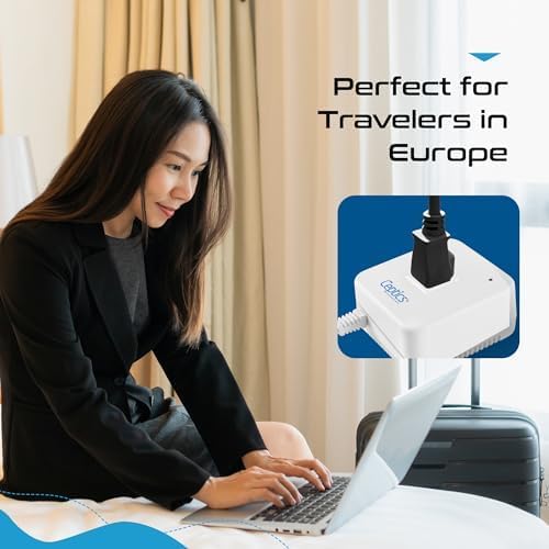 Ceptics 500 Watt Voltage Converter – Step Down 220v to 110v Converter - Converts 220V/240V to 110V/120V – Use with Hair Straighteners, Laptops, and Chargers – CE Certified