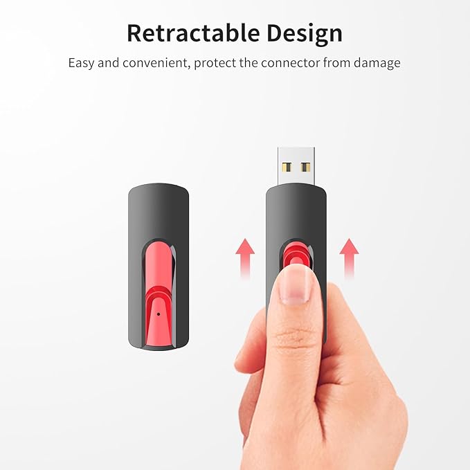 RAOYI 10Pcs 4GB USB Flash Drives Slide Retractable Memory Stick Bulk USB 2.0 Thumb Drive Jump Drive Zip Drive USB Sticks Data Storage Backup for PC Mac (4G, Red)