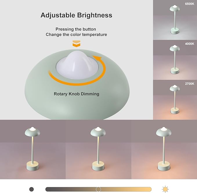 DAWALIGHT Cordless Rechargeable Desk Lamp with 3-Level Stepless Dimming, Adjustable 2700K/4000K/6500K Color Temperature, Portable Aluminum Table Light for Bedroom Restaurant Outdoor, Green