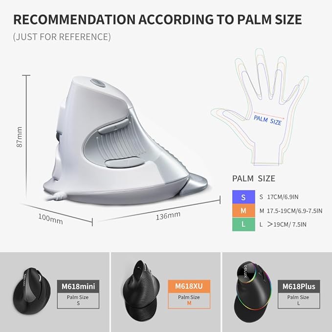 DeLUX Wired Vertical Ergonomic Mouse, with 6 Programmable Buttons, 4200DPI, Removable Palm Rest, Reduces Wrist Pain and Carpal Tunnel for Medium Hands (M618XU-White)