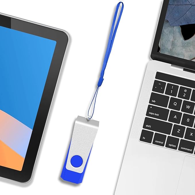 (Not 256GB) 256MB 50 Pack of Flash Drives Bulk EASTBULL USB 2.0 Flash Drives Pack USB Drives Bulk Thumb Drives in Bulk with 50 Strings (256 MB)