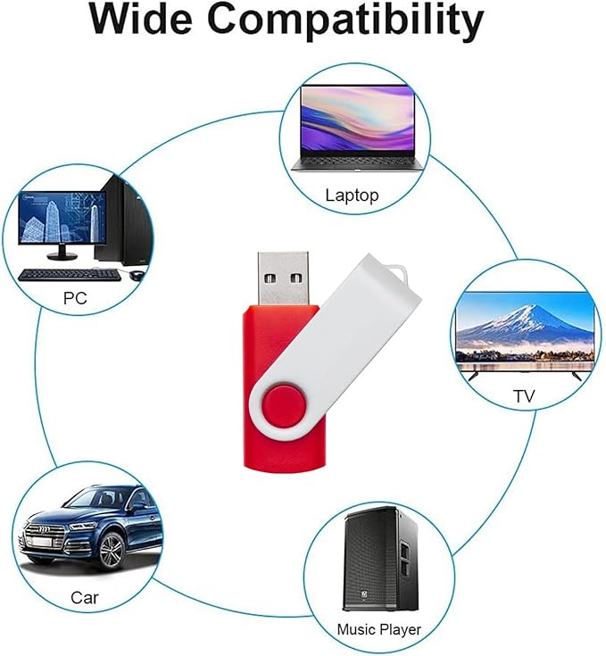 10 Pack 1GB USB Flash Drives in 5 Random Colors USB 2.0 Wholesale Lot Bulk Memory Sticks (10 Pack, 1GB)