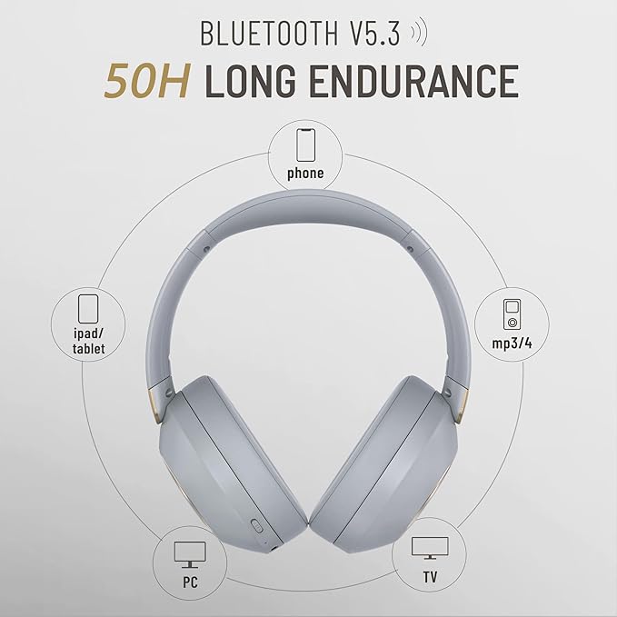 LORELEI B-C6 Wireless Over Ear Headphones, 50H Playtime Foldable Lightweight Bluetooth Headsets, Deep Bass, Built-in Microphone, Memory Foam Earmuff, for Travel, Home Office (Smoke Gray)