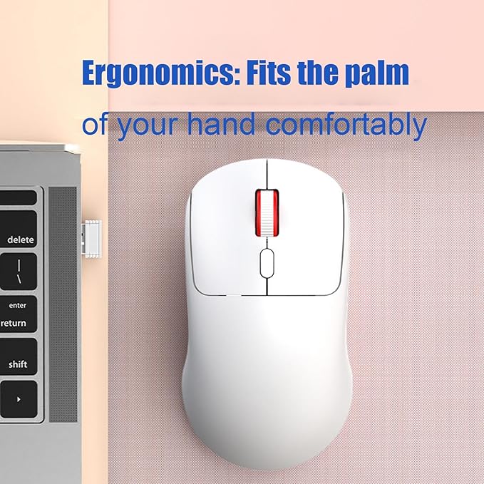 Wireless Mouse – Quiet Click 2.4G | USB Receiver Mouse for Laptop, Notebook, PC | Adjustable DPI, Ergonomic Design, Silent, Ideal Office, Home, and Travel Use | AA Battery