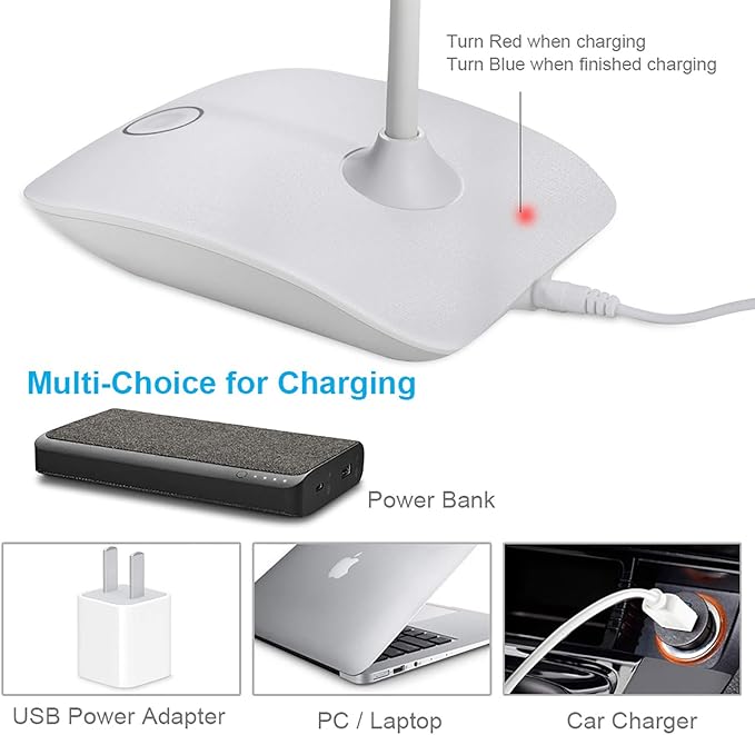 DEEPLITE LED Desk Lamp with Flexible Gooseneck 3 Level Brightness, Battery Operated Table Lamp 5W Touch Control, Compact Portable lamp for Dorm Study Office Bedroom(Set of 2)