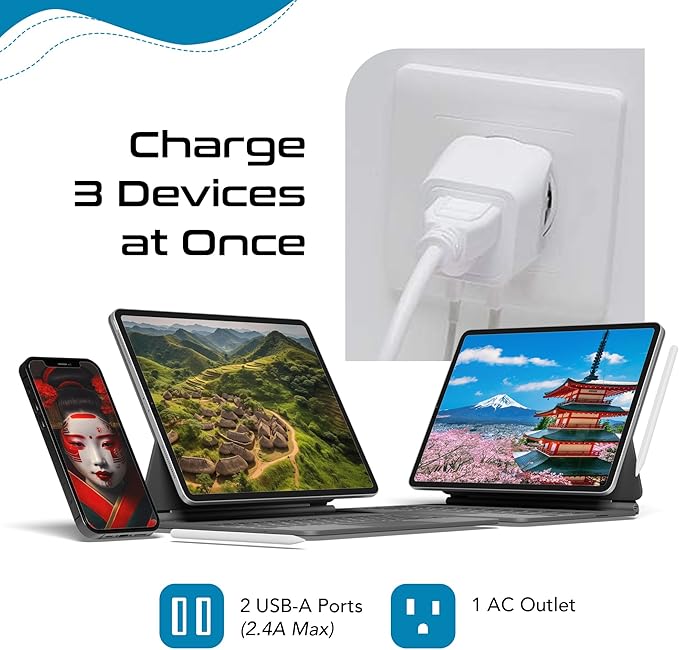 Ceptics Japan, Philippines Travel Adapter Plug with Dual USB - Usa Input - Type A - Ultra Compact (CTU-6) - Perfect for Cell Phones, Laptops, Camera Chargers