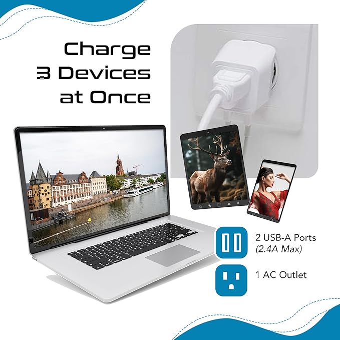 Ceptics Schuko, Germany, France, Spain Travel Adapter Plug with Dual USB - Usa Input Type E/F - Ultra Compact Perfect for Cell Phones, Laptop, Camera Chargers, iWatch, iPad, iPhone and More (CTU-9)