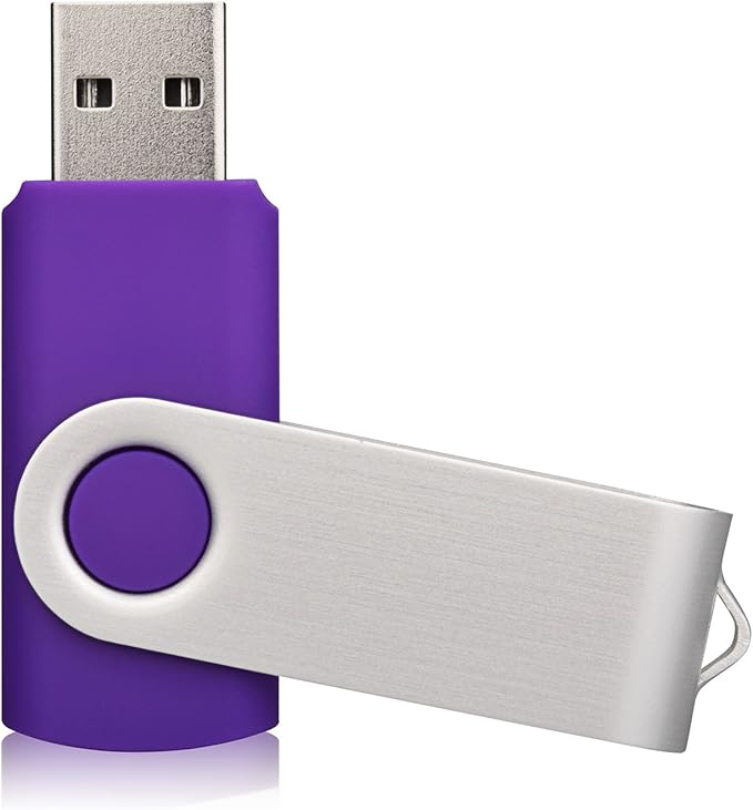 10 Pack 8GB USB Flah Drive USB 2.0 Pen Drive-Purple