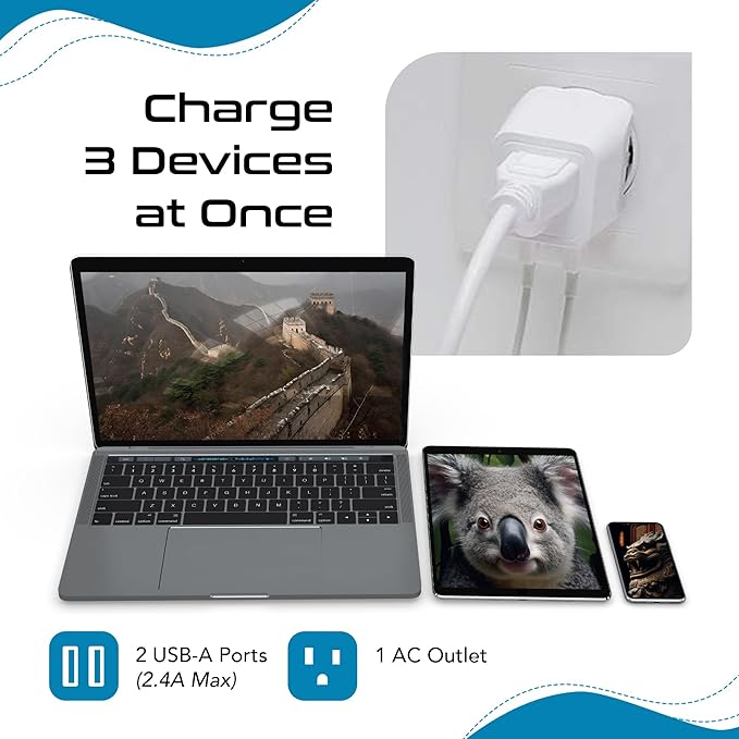 Ceptics Australia, New Zealand, China Travel Adapter Plug - Dual USB Input - Ultra Compact - USA to Type I - Perfect for Cell Phones, Chargers, Cameras, Tablets, and more (CTU-16)