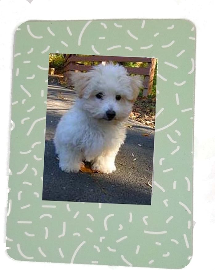 Fujifilm Instax Mini 12 Instant Camera + Pro Design Accessory Bundle with Protective Case, Magnetic Frames, Album, Frames Design Kit (40 Sheets) (Mint Green)