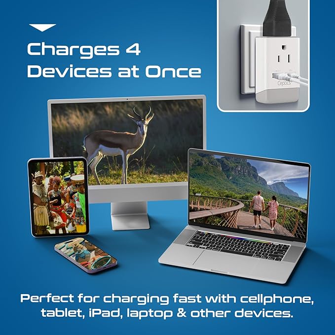 Ceptics South Africa Travel 2 Pack Plug Adapter QC 3.0 & PD, Safe Dual USB & USB-C - 2 USA Socket Compact & Powerful - Use in S. Africa Botswana - Type M AP-10L - Fast Charging