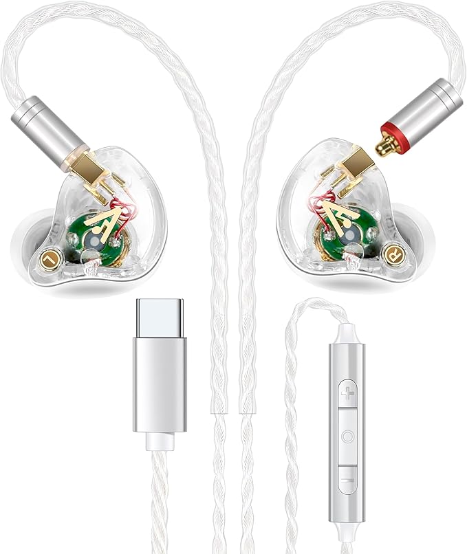 Vibes 202MC USB-C Wired Earbuds - HiFi in Ear Monitor Headphones - Noise Isolating Ear Buds w/ Mic - Clear Sound, Deep Bass & Comfort-Fit Earphones - MMCX to USBC, Silver Plated Cord, Carrying Case