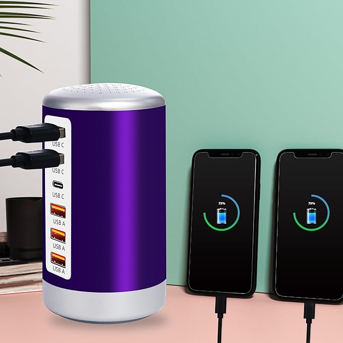 60W USB Charging Station with 6-Port (3 USB-A & 3 USB-C) for iPhone 12/13/14, Tablets & Smartphones - Purple