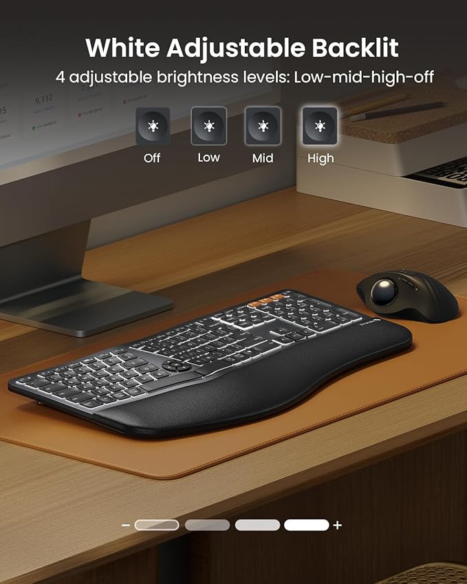 ProtoArc Backlit Bluetooth Ergonomic Keyboard, EK01 Plus Full Size Wireless Split Keyboard with Dual Bluetooth and USB, Cushioned Wrist Rest, Rechargeable, Compatible with Windows/Mac/Android, Black