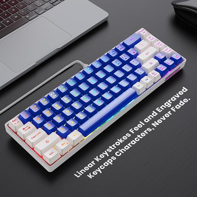 65% Gaming Keyboard, LED Backlit Mini Wired Keyboard, Ultra-Compact Anti-Ghosting No-Conflict 68 Keys Membrane Gaming Wired Keyboard for PC Laptop Windows Gamer(Blue-White)