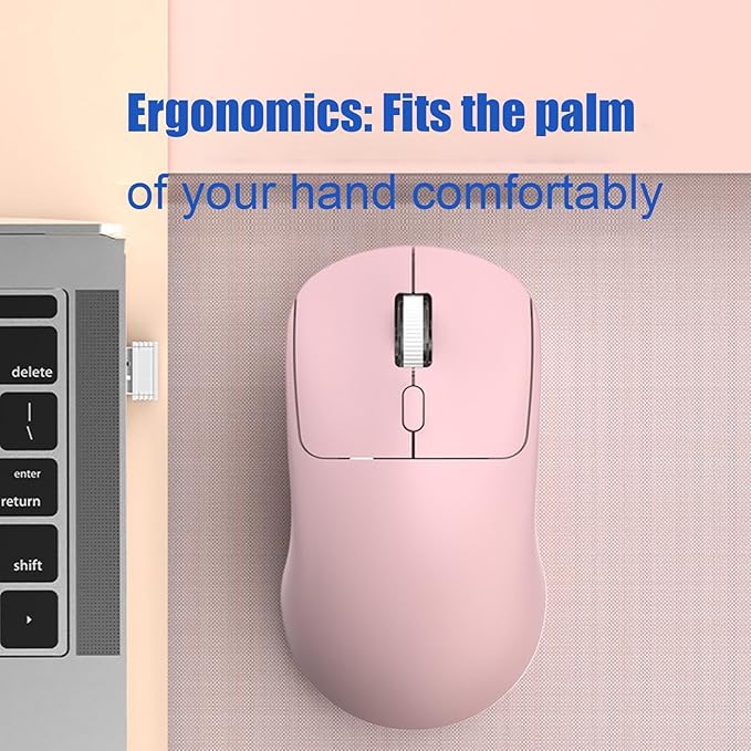 Wireless Mouse – Quiet Click 2.4G | USB Receiver Mouse for Laptop, Notebook, PC | Adjustable DPI, Ergonomic Design, Silent, Ideal Office, Home, and Travel Use | AA Battery