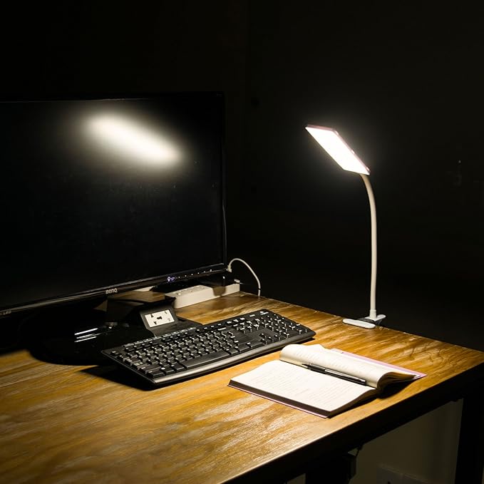 RAOYI LED Desk Lamp, 5W USB Clip on Light Eye-Caring Reading Clamp Table Lamp with 48 LEDs Flexible Gooseneck, 3 Color Modes and 14 Brightness Levels for Office Bedroom Study (White)
