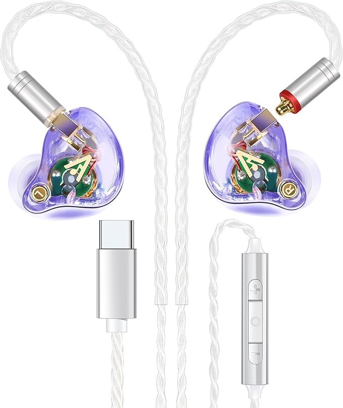 Vibes 202MC USB-C Wired Earbuds - HiFi in Ear Monitor Headphones - Noise Isolating Ear Buds w/ Mic - Clear Sound, Deep Bass & Comfort-Fit Earphones - MMCX to USBC, Silver Plated Cord, Carrying Case