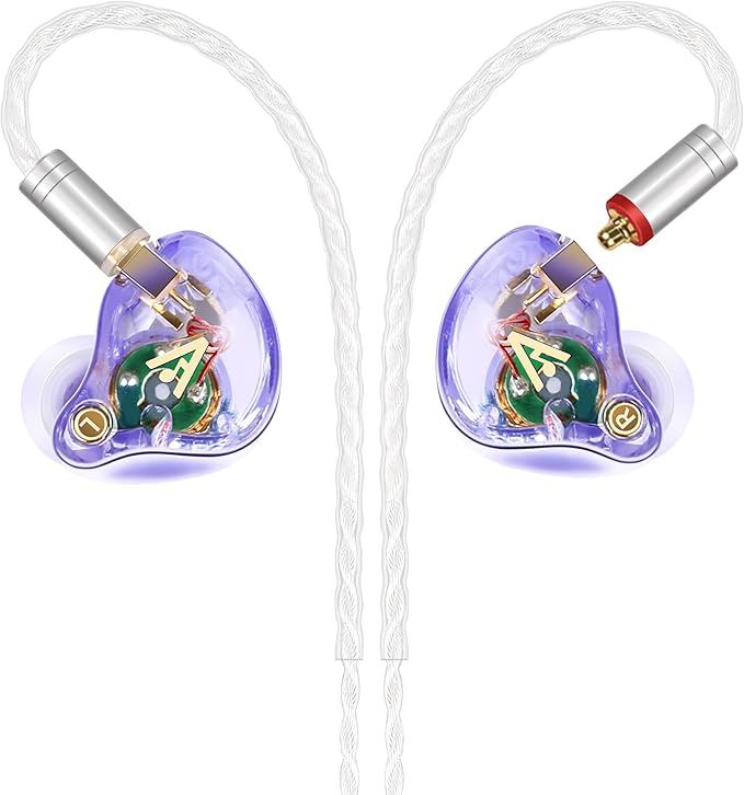 Vibes 202 Wired Earbuds - HiFi in Ear Monitor Headphones – Professional Noise-Isolating Ear Buds - Clear Sound, Deep Bass & Comfort-Fit IEM Earphones - MMCX to 3.5mm, Silver Plated Cord, Carrying Case