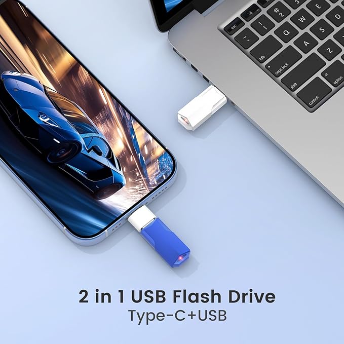 1GB Flash Drives 10 Pack Wooolken USB 2.0 Thumb Drives with 5 Pack USB C Adapters and Lanyards,Memory Sticks for Data Storage