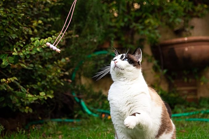 LUDOS Ultra Wired Earbuds in-Ear Headphones, 5 Years Warranty, Earphones with Microphone, Noise Isolating Ear Buds, Memory Foam for iPhone, Samsung, School Students, Kids, Women, Small Ears - Pink