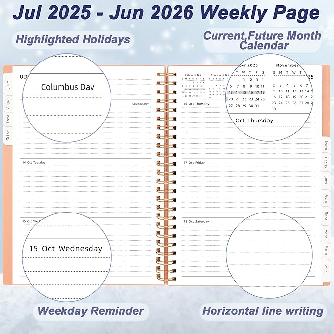Day Planner 2025-2026, Jul.2025-Jun.2026, 6.2" x 8.4", 2025 Planner Weekly and Monthly, 2025 Agenda Planner with Tabs & Pocket, 100GSM Thick Paper, Pink
