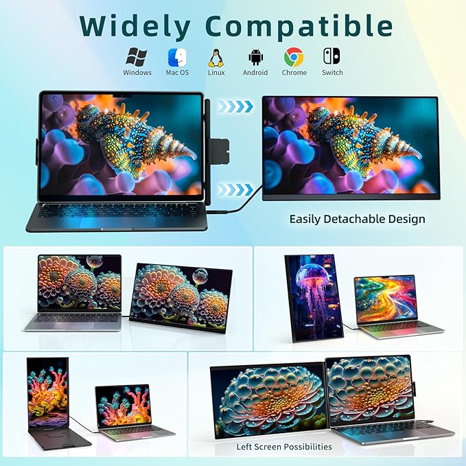 ROYY Laptop Screen Extender Dual Monitor - 15.6" Portable Monitor FHD 1080P IPS 85% NTSC Detachable Screen Extended Extra USB-C/HDMI Port Compatible with Wins Mac Dex Chrome Fits 13"-17" Laptops