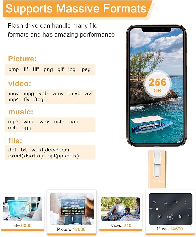 256GB USB Flash Drive for Phone and Pad, Photo Stick High Speed External USB Thumb Drives Photo Storage Memory Stick for Save More Photos and Videos (Gold, 256GB)