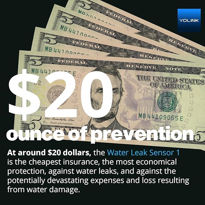YoLink Water Leak Starter Kit: Hub + 2 Leak Sensor 4 (105 dB Siren), LoRa Long-Range, App/SMS/Email Alerts, D2D Offline, 2 AAA Up to 5-Year Battery, Works with Alexa/IFTTT/Home Assistant