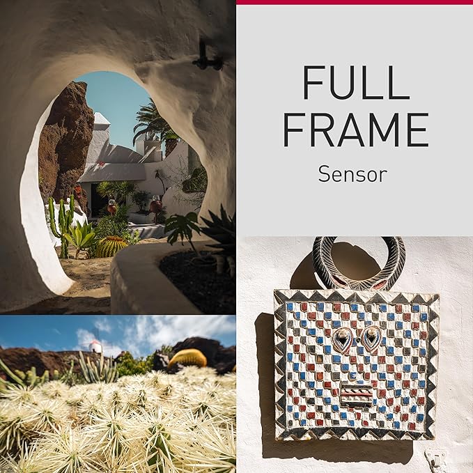 Panasonic LUMIX S9 Full-Frame Mirrorless Camera with S 18-40mm F4.5-6.3 Lens, Compact, Lightweight Body, Perfect for Social Media and Travel, DC-S9NR