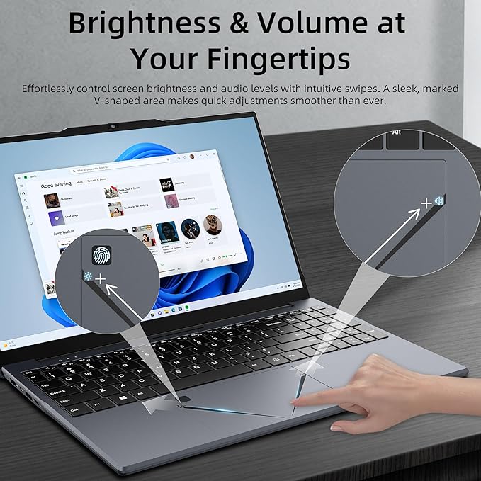 15.6" Laptop, Ryzen 5 3500U (Up to 3.7GHz) Quad-Core Processor, 16GB DDR4 RAM, 256GB NVMe SSD, Portable Notebook with Adjustable Touchpad & Privacy Webcam Switch (16＋256G)