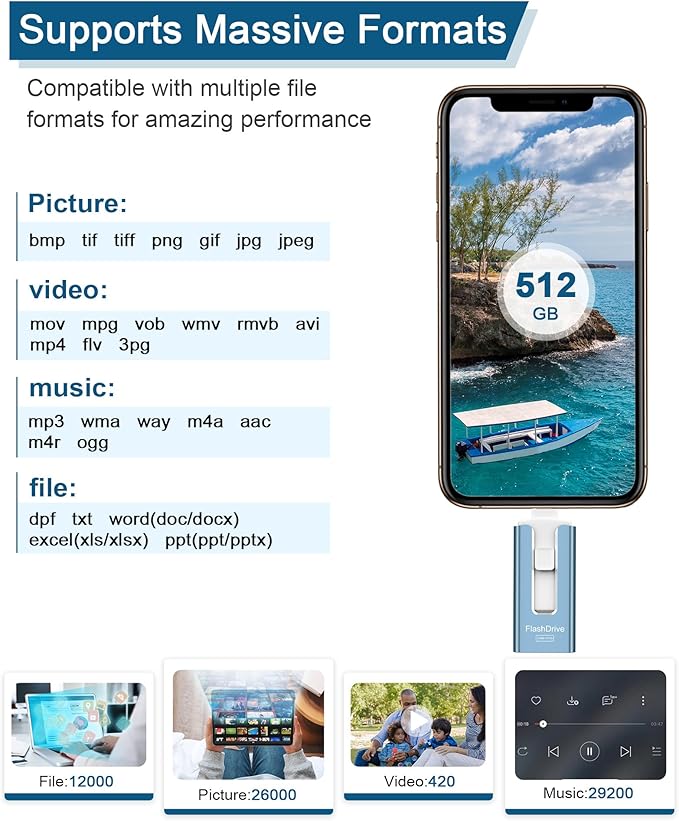USB Flash Drive 512GB, Photo Stick Memory External Data Storage Thumb Drive Compatible for Phone, Pad, Android, PC and More Devices (Blue)