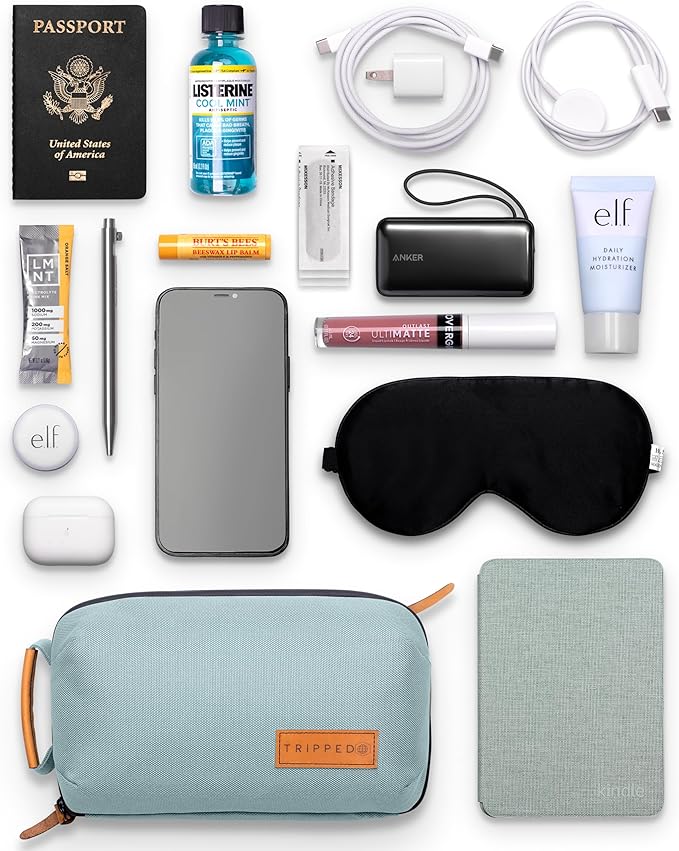 Tech Bag Organizer - Small Electronics Organizer Pouch for Travel - Premium Travel Case with Leather Accents - Mesh Pocket for Cables, Cords and Chargers (Dusty Teal)